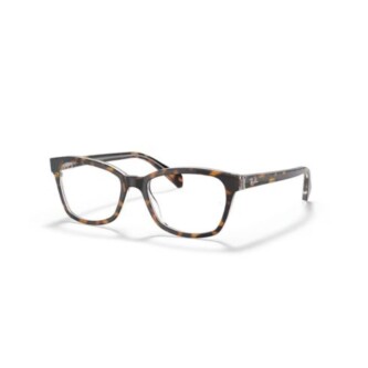 ray_ban_1591_3805